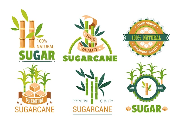 Producción de plantas y edulcorantes de iconos aislados de caña de azúcar