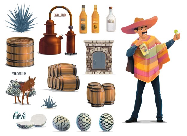 Vector producción de tequila bebida tradicional mexicana