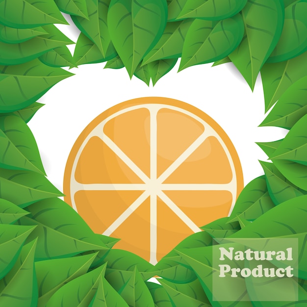 Vector producto natural naranja hojas forma corazon