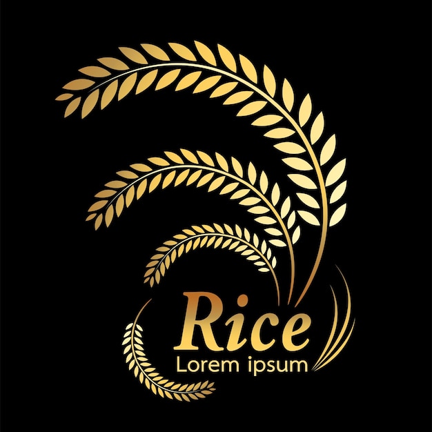 producto natural orgánico de grano Arroz arroz dorado