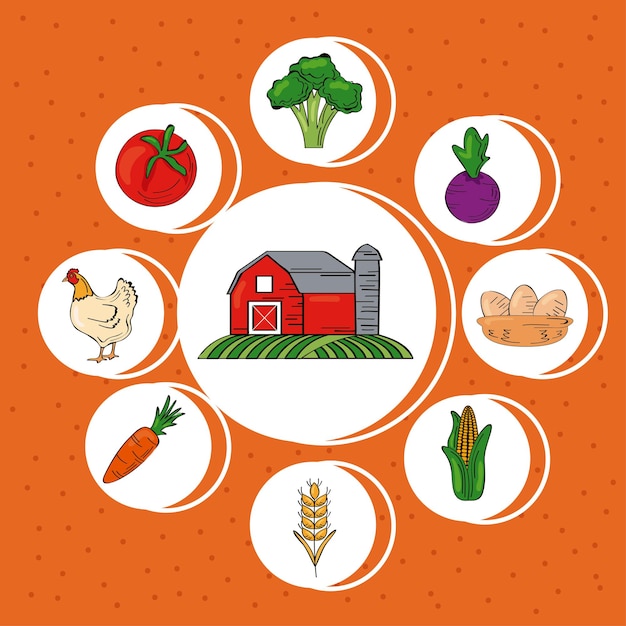Productos agrícolas frescos alrededor de iconos de conjunto