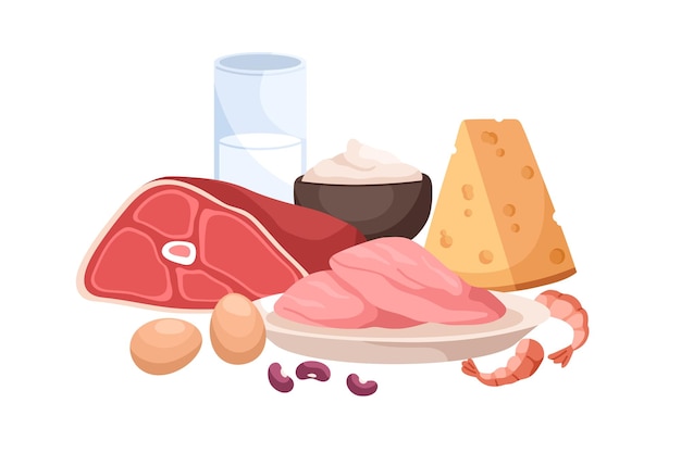 Productos alimenticios proteicos. Nutrición de carnes, lácteos, mariscos, quesos, leche y huevos. Nutrientes crudos saludables. Composición de la dieta de energía nutritiva. Ilustración de vector de dibujos animados plana aislado en blanco