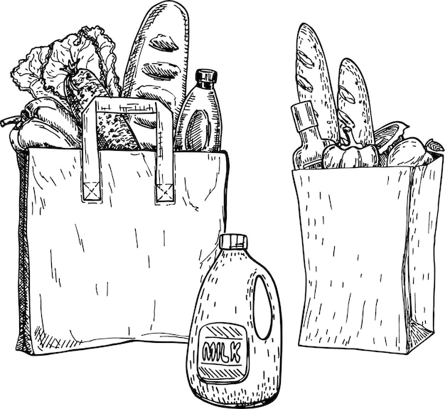 Productos en una bolsa de supermercado y una bolsa de supermercado ecológica. Bosquejo. Ilustración dibujada a mano
