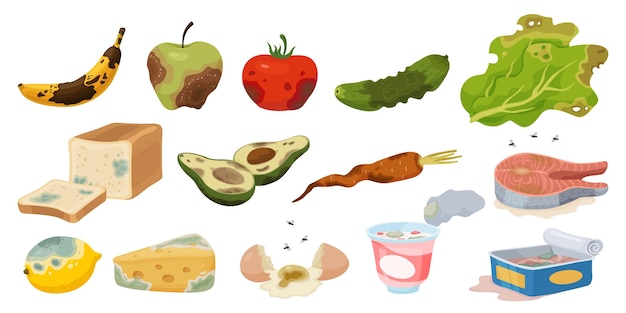 Productos caducados Desechos orgánicos Alimentos en descomposición dañados Vegetales o frutas en mal estado Basura de reciclaje biodegradable Queso y pan con moho Elementos de compost Conjunto de vectores recientes