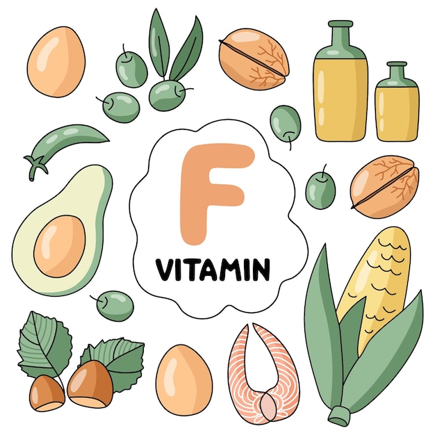 Productos de vitamina F. Fuentes de comida. Ilustración de vector plano. Frutas y vegetales. Alimentación saludable. D