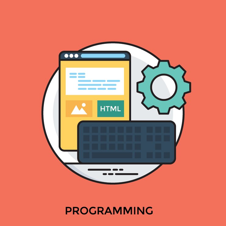 Vector programación