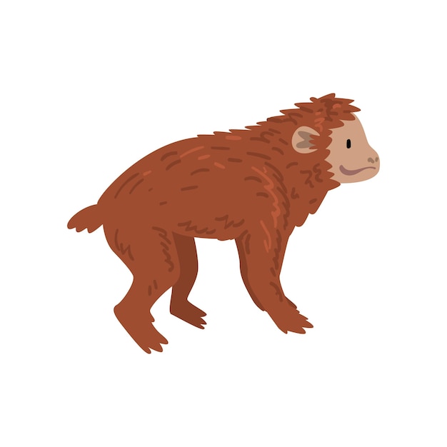 Progreso animal del mono proceso evolutivo de la mujer ilustración vectorial