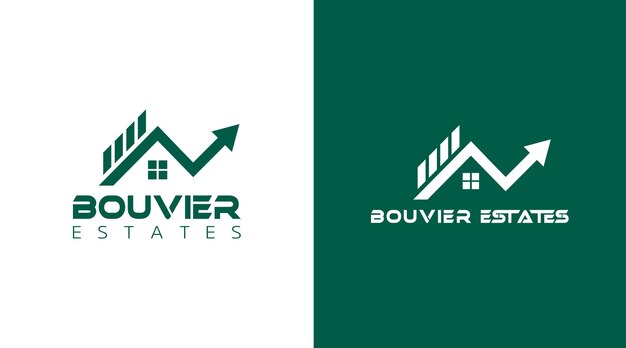 Propiedad Inmobiliaria y Construcción Vector de diseño de logotipo Elemento de diseño gráfico