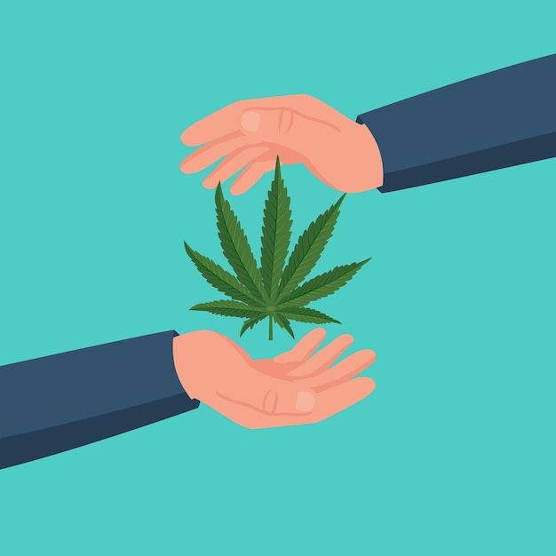 Protección de la marihuana Un hombre sostiene una hoja de cannabis en las manos Legalización del vector del cáñamo