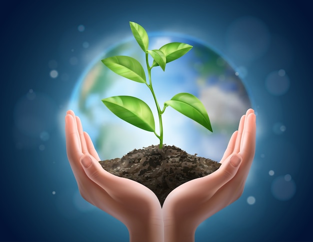 Proteger nuestro planeta: un símbolo de crecimiento y esperanza