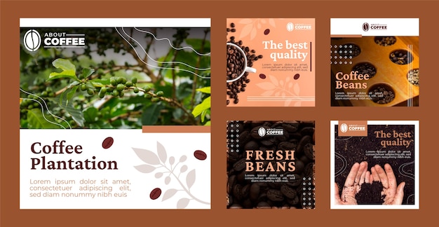 Vector publicaciones de instagram de plantación de café de diseño plano