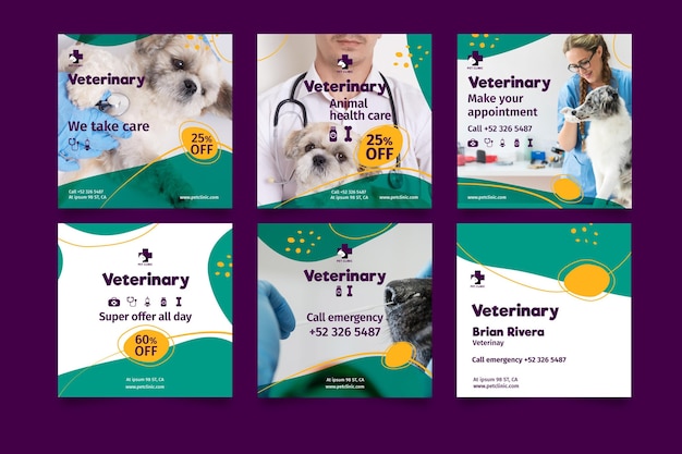 Vector publicaciones veterinarias en redes sociales