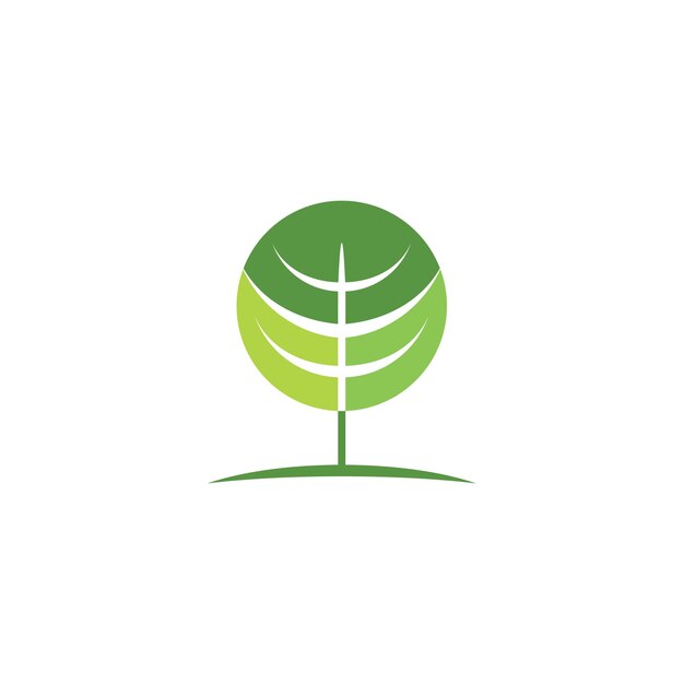 puesto de árboles verdes en la tierra