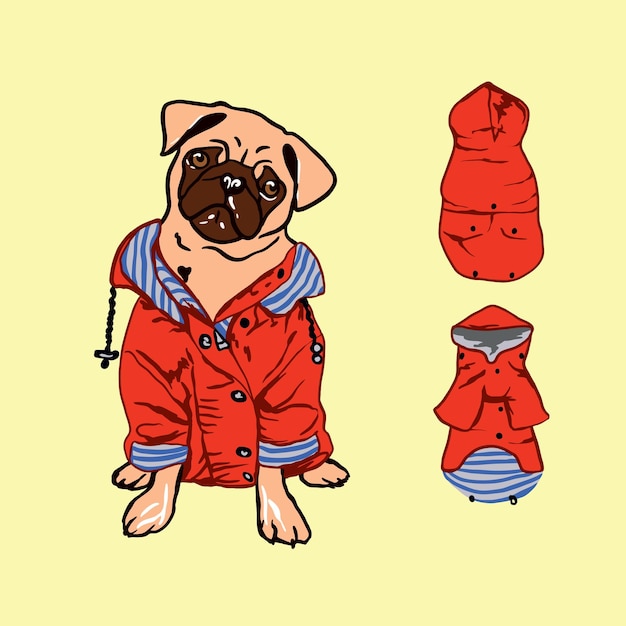 Pug en chaqueta roja Ropa para perros accesorios sombrero botas Vector pug