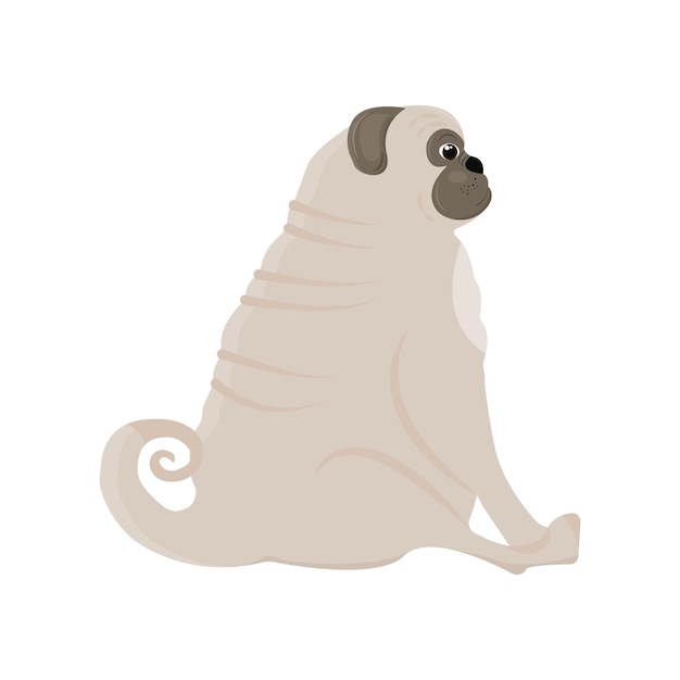 El pug positivo del cuerpo lindo se sienta y mira en la distancia. ilustración de vector aislado sobre fondo blanco.