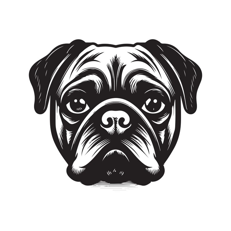 Vector pug vintage logo concepto blanco y negro color dibujado a mano ilustración
