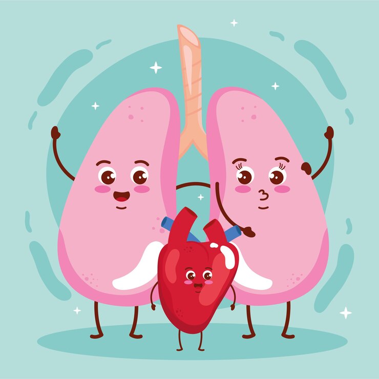 Vector pulmones y corazón lindo personaje de órganos.