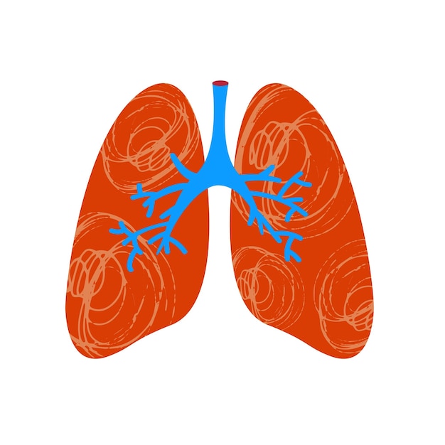Vector pulmones humanos coloridos dibujados a mano. elementos vectoriales en estilo plano aislados en un fondo blanco. neumología. concepto de salud humana. enfermedades respiratorias virales.