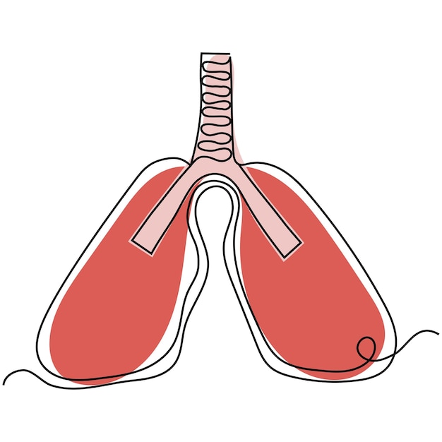 Pulmones humanos dibujados en una línea Ilustración en un estilo de línea continua en blanco Vector