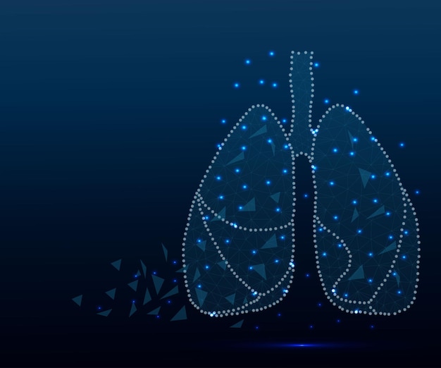 Pulmones humanos polígono estrellas azules 24