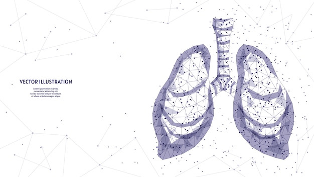 Pulmones humanos y tráquea. Anatomía del órgano. Neumonía por coronavirus, cáncer, trasplante de órganos, tuberculosis, asma. Tecnología médica innovadora. Ilustración de estructura metálica de baja poli 3d.