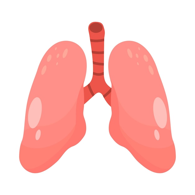 Pulmones humanos vector clip art icono EPOC vector ilustración obstructiva crónica pulmonar