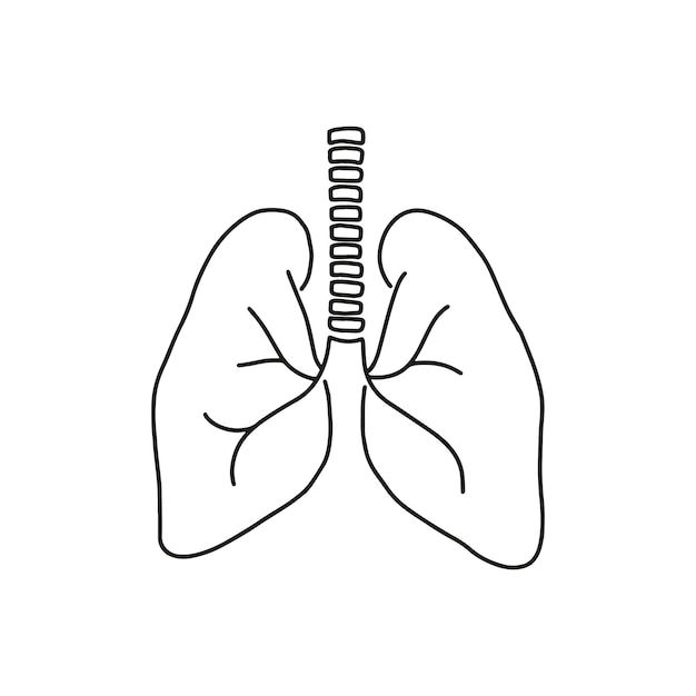 Pulmones lineales, vector de icono de órgano. Concepto de diseño de salud pulmonar. Ilustración en blanco y negro.