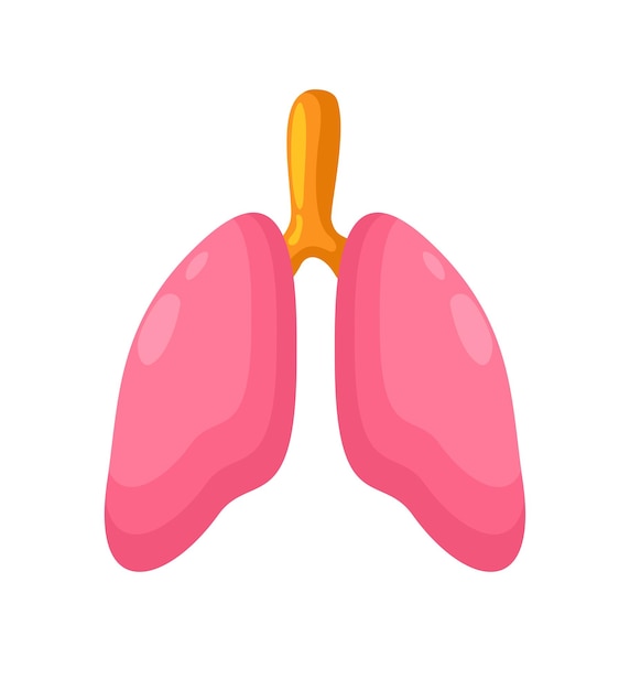 Pulmones Vector brillante ilustración aislada