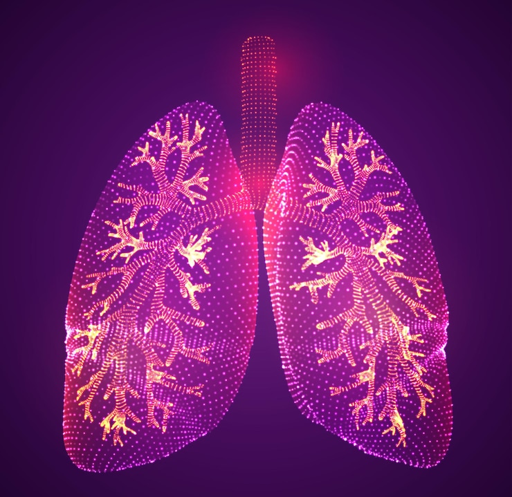 Vector pulmones vectoriales y bronquios punto de diseño vectorial y estilo de punto
