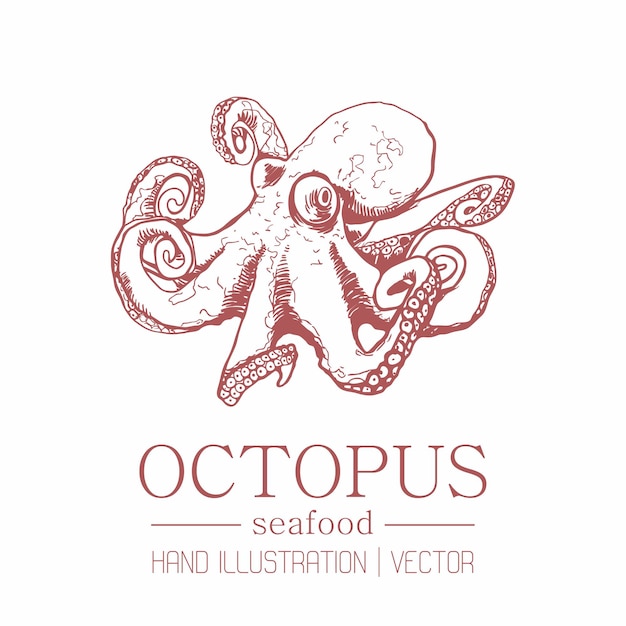 Vector pulpo. estilo vintage. dibujo a mano.