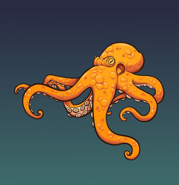 Pulpo naranja