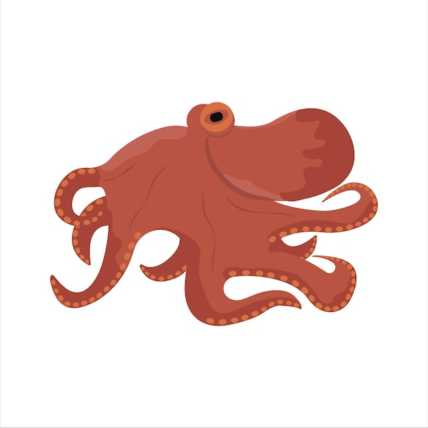 Vector pulpo, pulpo, vector, pulpo, ilustración