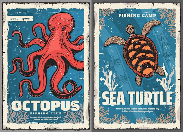 Vector pulpos, tortugas marinas, calamares, cangrejos, carteles de pesca