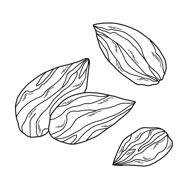 un puñado de almendras en línea estilo de arte minimalista garabateo para el embalaje del menú de diseño