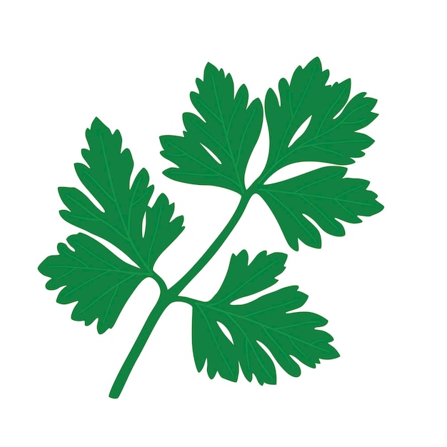 Puñetazo. Hoja de perejil verde.