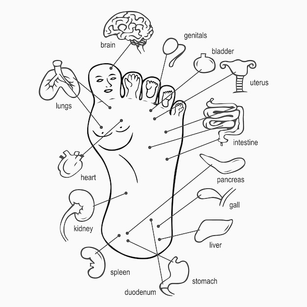 Vector puntos de acupuntura a pie