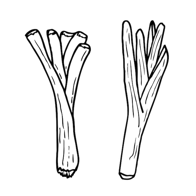 El puré es una ilustración de contorno dibujada a mano de un alimento vegetal saludable un ingrediente para vegetariano