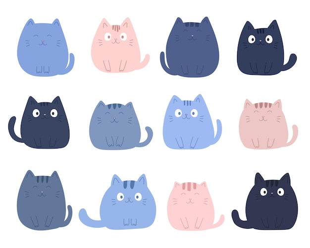 Qué gato tan lindo.