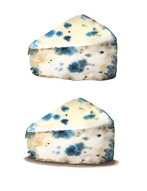 Queso azul acuarela dibujado a mano con molde