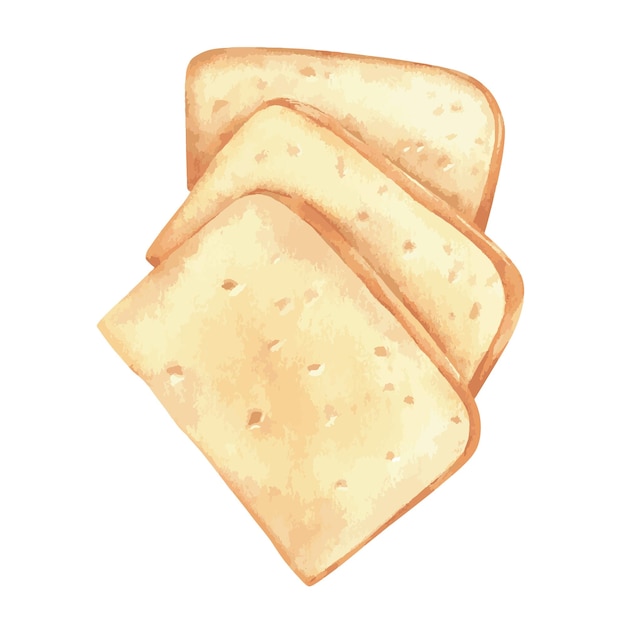 Vector queso cheddar en rodajas ilustración de vector de acuarela comida dibujada a mano de italia