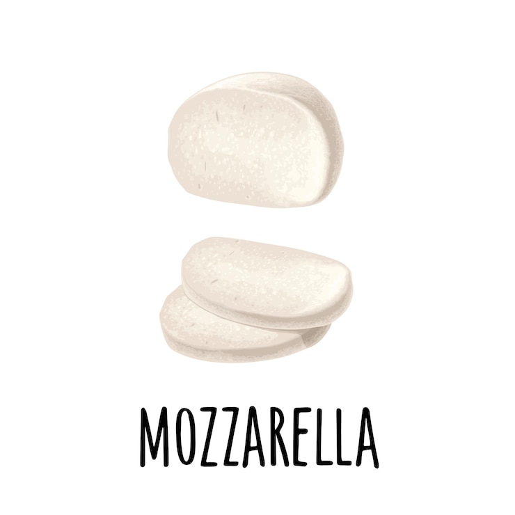 Vector queso mozzarella mitad y rebanadas icono de color vectorial aislado en blanco