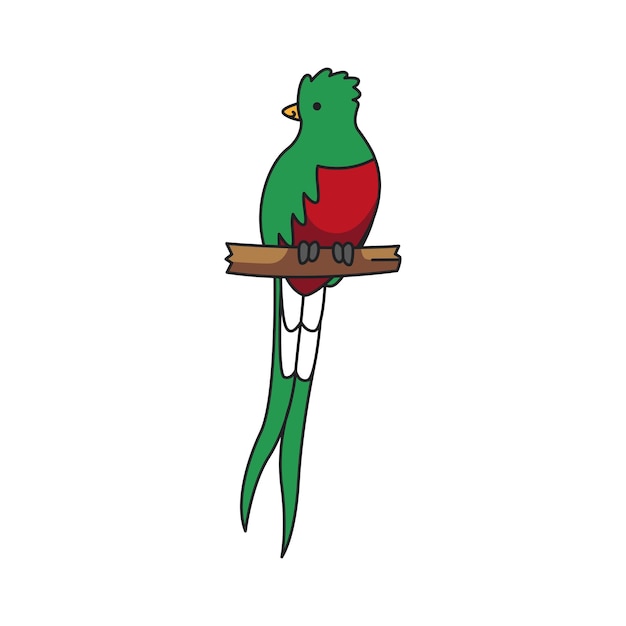 Vector quetzal en un icono de rama en estilo de dibujos animados sobre un fondo blanco.