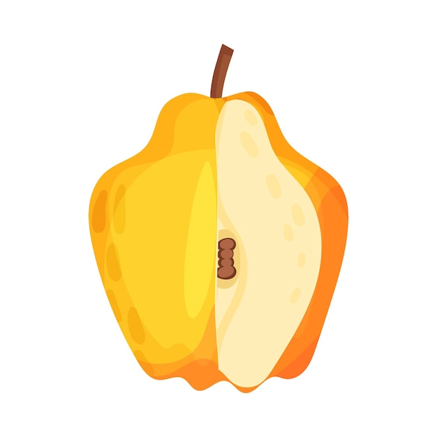 Vector quince entero con ilustración vectorial de piezas cortadas