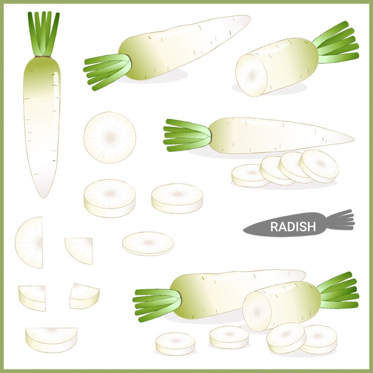 Rábano blanco fresco o daikon con top verde en varios cortes y estilos