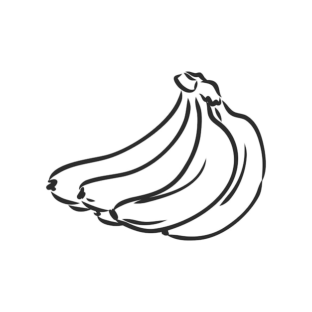 Racimo de frutas de plátano nutrición orgánica alimentos saludables