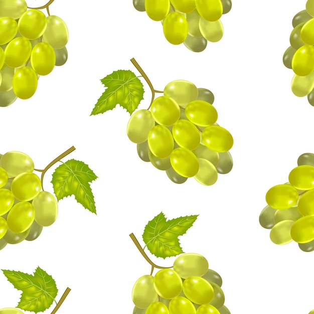 Vector racimo verde detallado realista de vector de patrón de fondo de uvas
