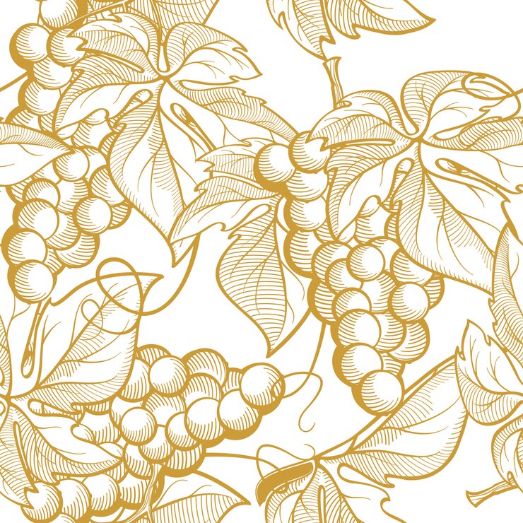 Racimos de uvas y elementos de vino. Gráficos de textura perfecta