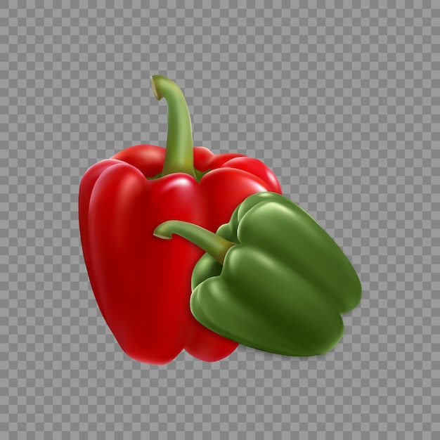 Rad y chiles verdes vegetales frescos naturales 3d vector realista