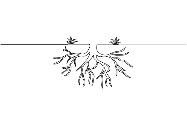 Raíces de árboles un dibujo de línea y planta estilo minimalista aislar icono vectorial de contorno