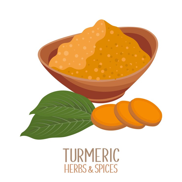 Vector raíz de cúrcuma y polvo de cúrcuma seco hierbas y especias curcumina ilustración vectorial